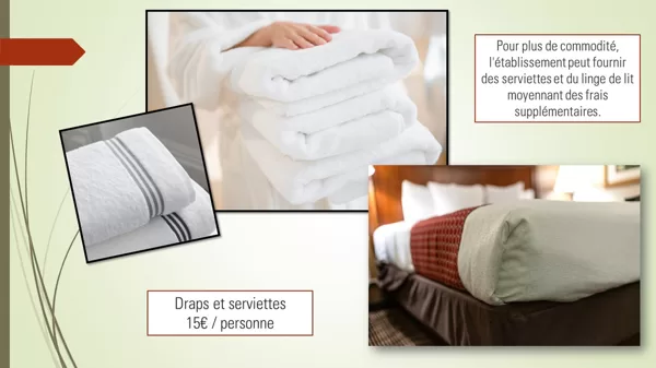 option linge